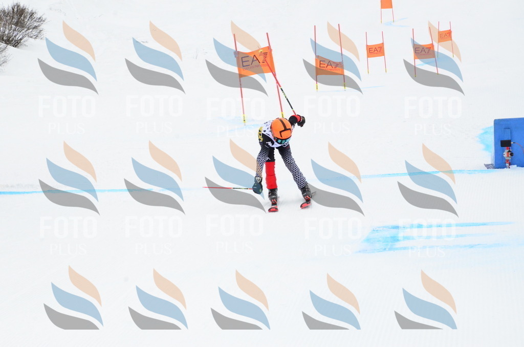 _ELE3933 | holidayphoto