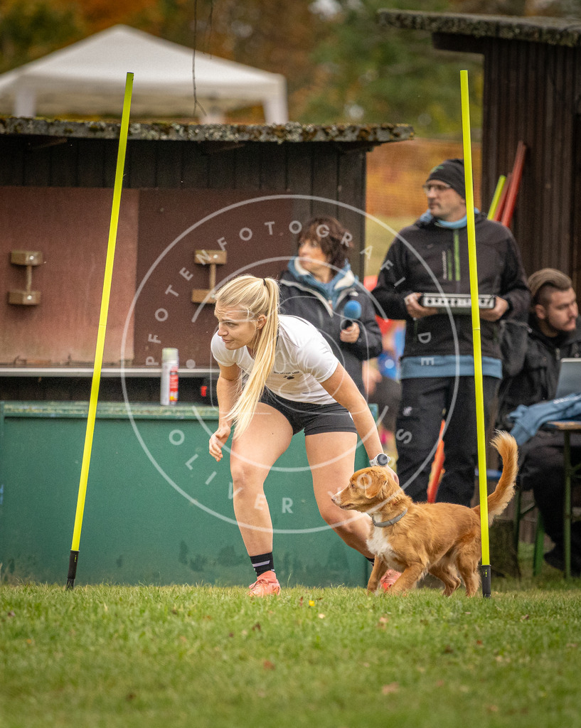 Pfotenfotografie_DV3A7404 | Hundefotografie, Tierfotograf, Pfotenfotografie, Fotoshooting Hund, Hunde Portrait, Hundesport, Hundeportraits, Heideshooting, Hunde, Sportfotograf, Hundefotograf, Turnierhundsport, THS,  - Realisiert mit Pictrs.com