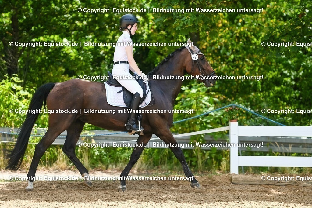 20230715_09_Dressur-WB_0250 | equistock