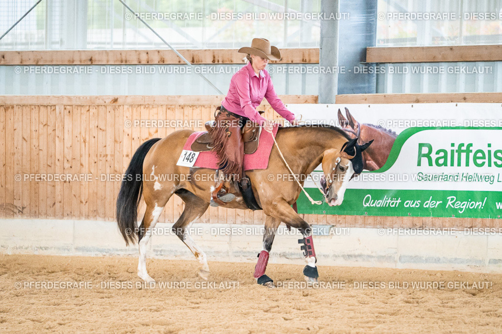 DSC00231 | Pferdegrafie