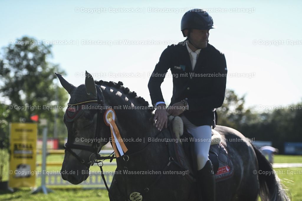 20230908_14-15_Springpferde-A_0132 | equistock