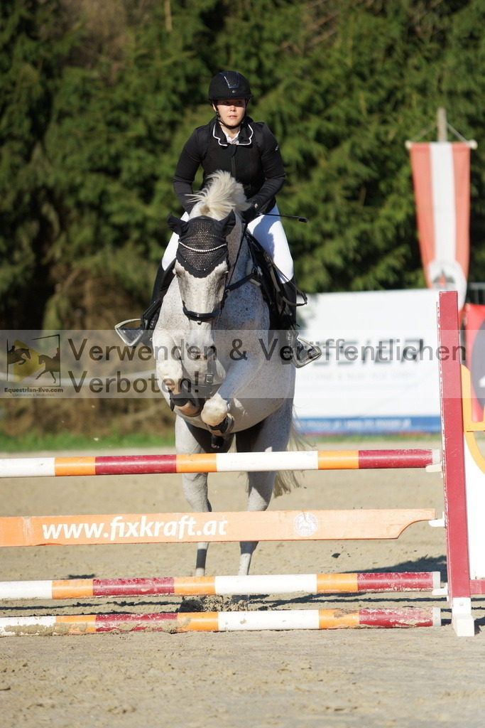 DSC09445 | equestrian-live-com