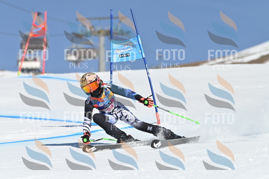 BGV_8029 | holidayphoto