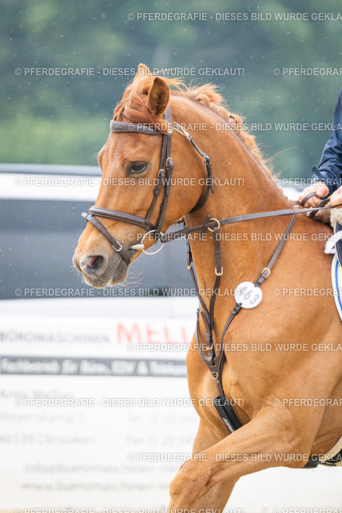 DSC00932 | Pferdegrafie