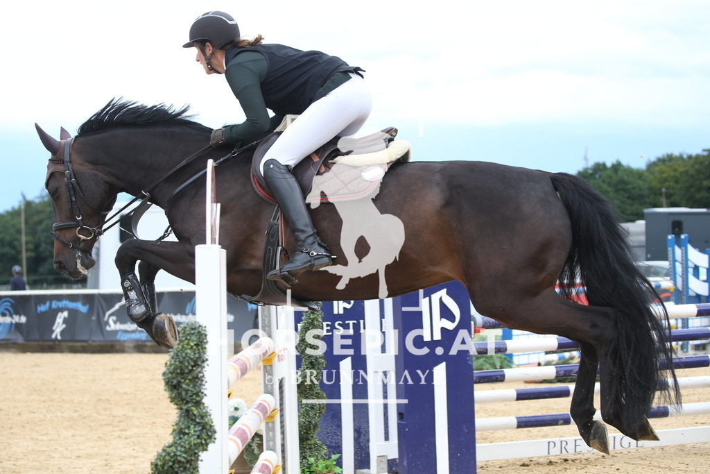 DL2Q2611 | Willkommen bei Brunnmayr - Design & Fotografie – Ihrem Spezialisten für Reitturniere und Pferdeveranstaltungen in Oberösterreich, Salzburg und Bayern! Seit über 17 Jahren sind wir leidenschaftlich dabei.