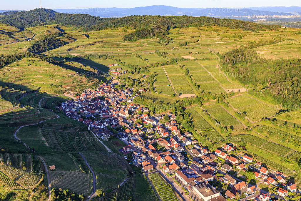 Luftbild: Winzerdorf im Kaiserstuhl aus Westen im Ortsteil Achkarren in Vogtsburg im Bundesland Baden-Württemberg in Deutschland. Foto: IMG_147869.jpg vom 30.05.2025 durch Werner Riehm/FLY-FOTO.de