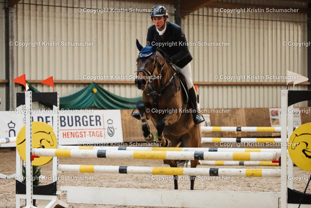 Springpferde A_ | Kristin Schumacher Photography