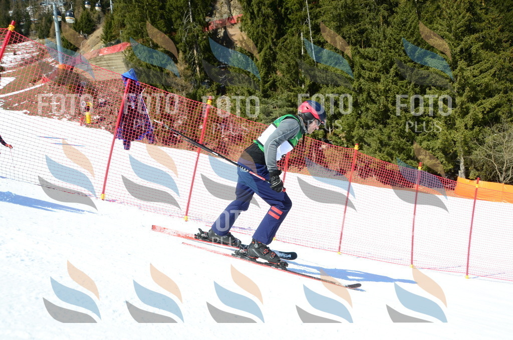 C6535 | holidayphoto