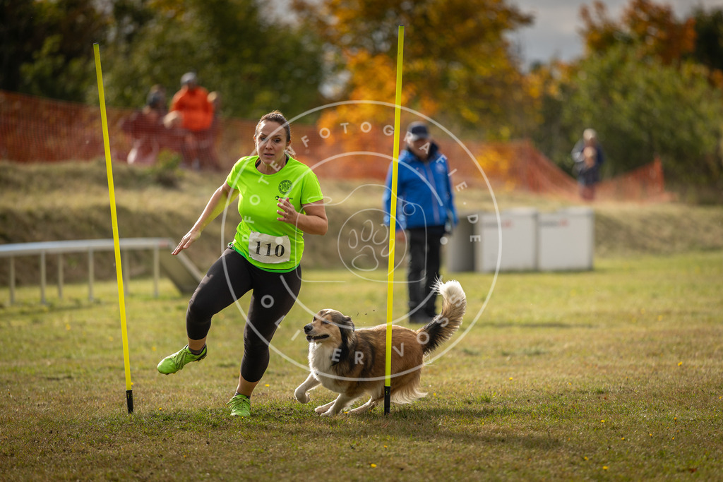 Pfotenfotografie_DV3A7187 | Hundefotografie, Tierfotograf, Pfotenfotografie, Fotoshooting Hund, Hunde Portrait, Hundesport, Hundeportraits, Heideshooting, Hunde, Sportfotograf, Hundefotograf, Turnierhundsport, THS,  - Realisiert mit Pictrs.com