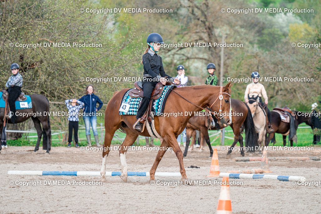 BAL02828 | dv-media-shop - Realisiert mit Pictrs.com