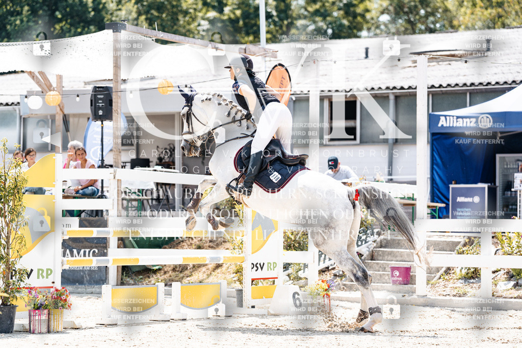 CK907447 | Turnierfotografie Pferdefotografie Trier Rheinland-Pfalz Pferdesport Reitsport Tierfotografie Sportfotografie Pferdevideo Pferdevideografie Equestrianvideography equestrianphotography  - Realisiert mit Pictrs.com