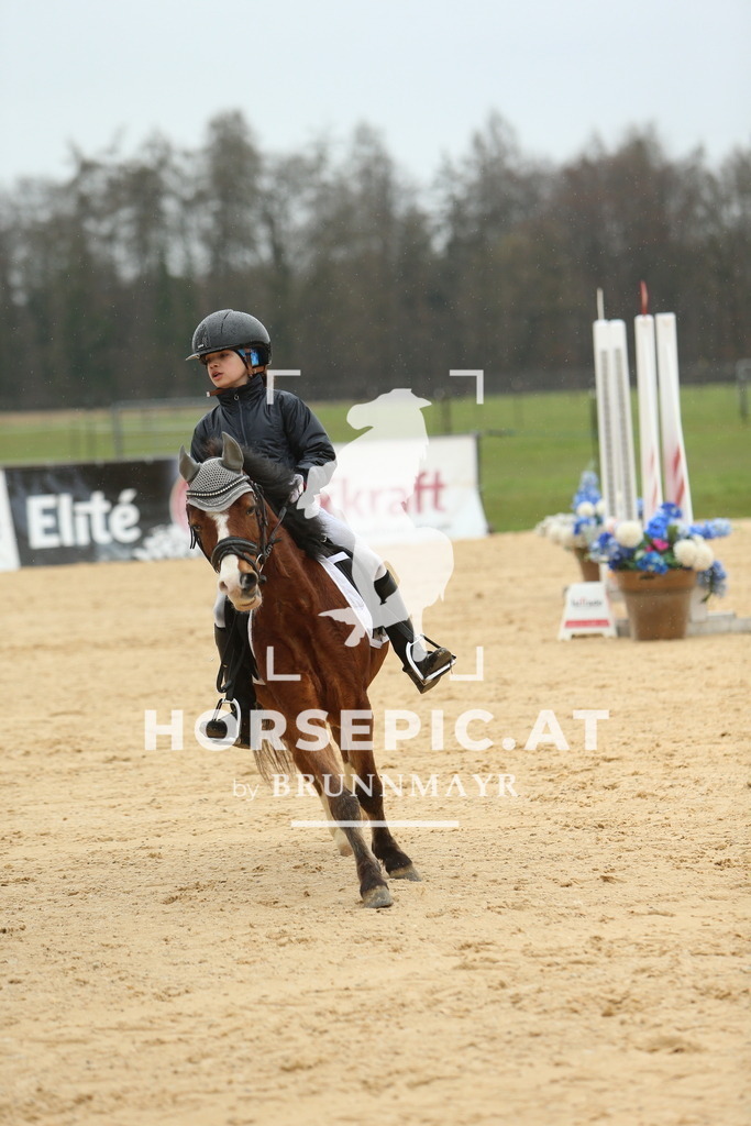 DL2Q1055 | Willkommen bei Brunnmayr - Design & Fotografie – Ihrem Spezialisten für Reitturniere und Pferdeveranstaltungen in Oberösterreich, Salzburg und Bayern! Seit über 17 Jahren sind wir leidenschaftlich dabei.