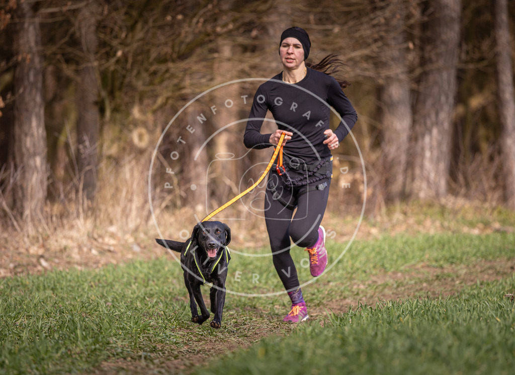 DV3A6081 | Hundefotografie, Tierfotograf, Pfotenfotografie, Fotoshooting Hund, Hunde Portrait, Hundesport, Hundeportraits, Heideshooting, Hunde, Sportfotograf, Hundefotograf, Turnierhundsport, THS,  - Realisiert mit Pictrs.com