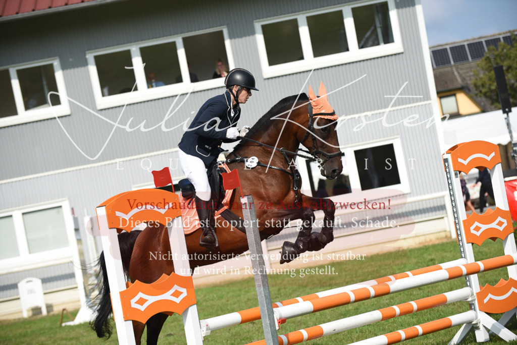 DSC_8809 | Pferde- und Turnierfotografie in Westsachsen. Pferdeportraits, Auftragszeichnungen und intuitive Kunst.