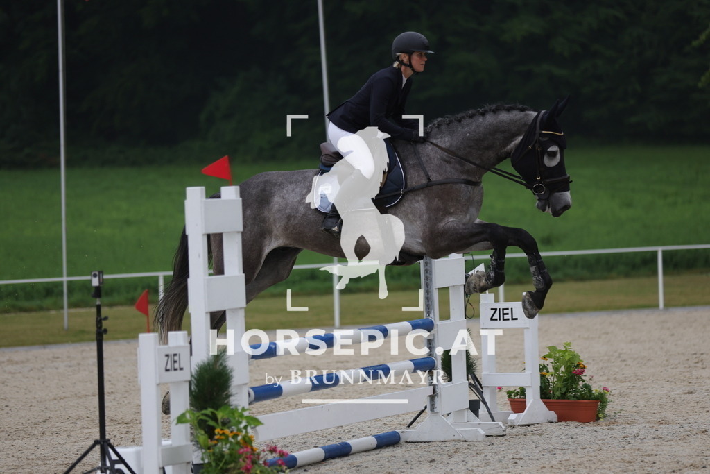 0P6A0911 | Willkommen bei Brunnmayr - Design & Fotografie – Ihrem Spezialisten für Reitturniere und Pferdeveranstaltungen in Oberösterreich, Salzburg und Bayern! Seit über 17 Jahren sind wir leidenschaftlich dabei.