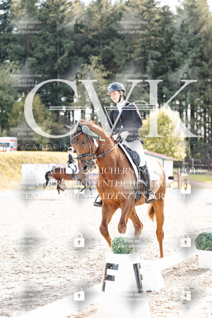 CK901800 | Turnierfotografie Pferdefotografie Trier Rheinland-Pfalz Pferdesport Reitsport Tierfotografie Sportfotografie Pferdevideo Pferdevideografie Equestrianvideography equestrianphotography  - Realisiert mit Pictrs.com