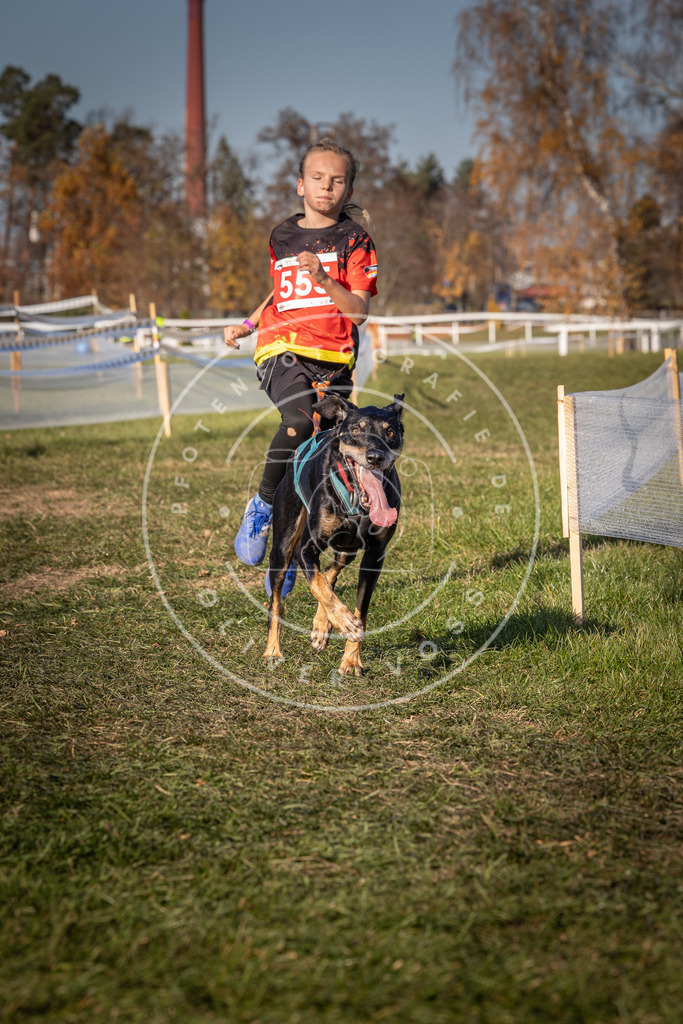 CaniXpix_0L8A7757 | Hundefotografie, Tierfotograf, Pfotenfotografie, Fotoshooting Hund, Hunde Portrait, Hundesport, Hundeportraits, Heideshooting, Hunde, Sportfotograf, Hundefotograf, Turnierhundsport, THS,  - Realisiert mit Pictrs.com