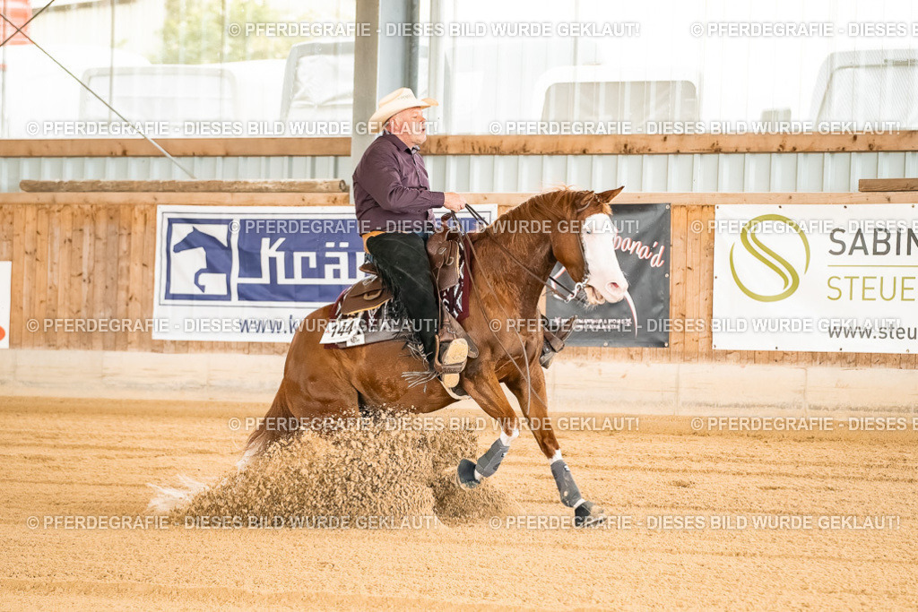 DSC01605 | Pferdegrafie