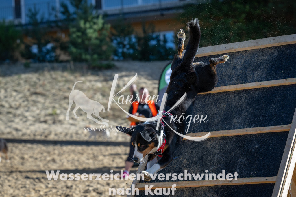 1124_ZZ91061 | kk-dogfotos