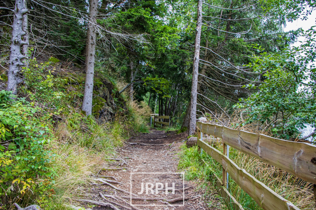 IMG_7919 | jrph - Realisiert mit Pictrs.com