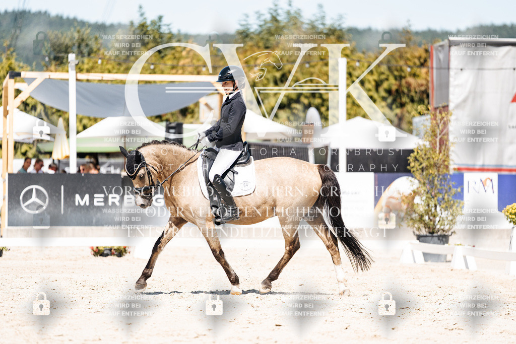 CK909958 | Turnierfotografie Pferdefotografie Trier Rheinland-Pfalz Pferdesport Reitsport Tierfotografie Sportfotografie Pferdevideo Pferdevideografie Equestrianvideography equestrianphotography  - Realisiert mit Pictrs.com