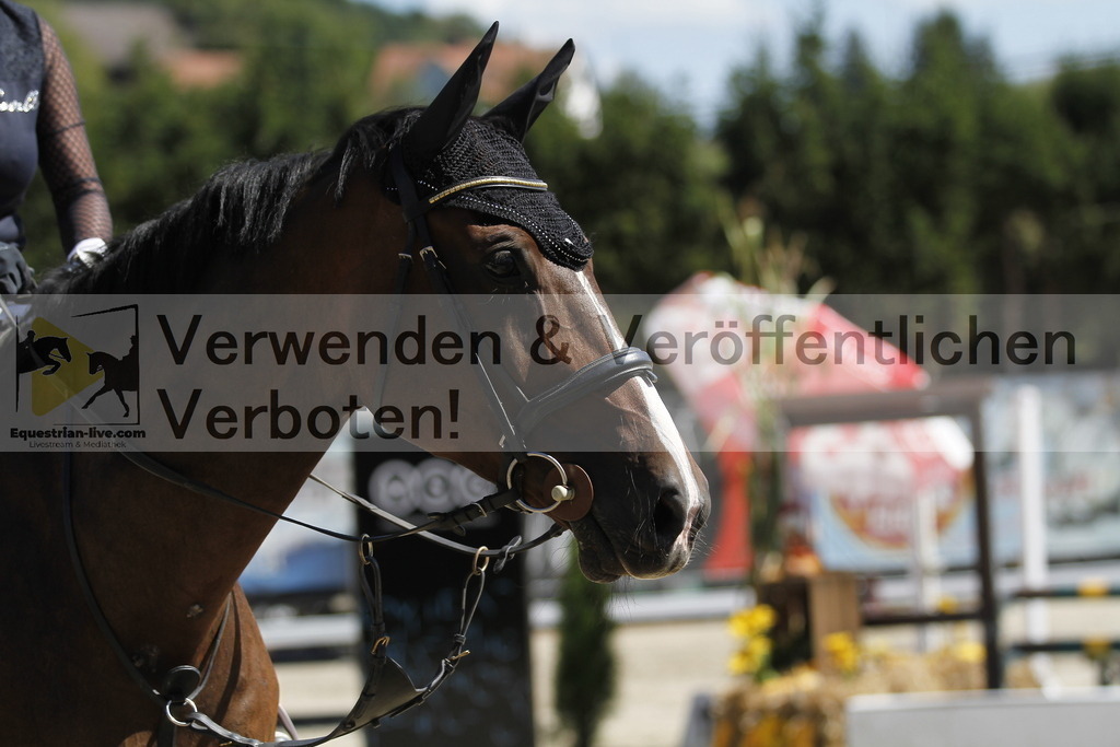 _MG_5276 | equestrian-live-com