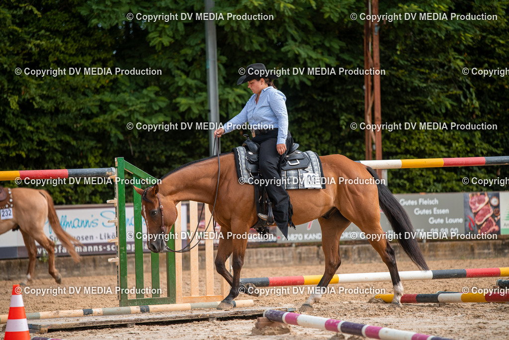 ZS3_9180 | dv-media-shop - Realisiert mit Pictrs.com