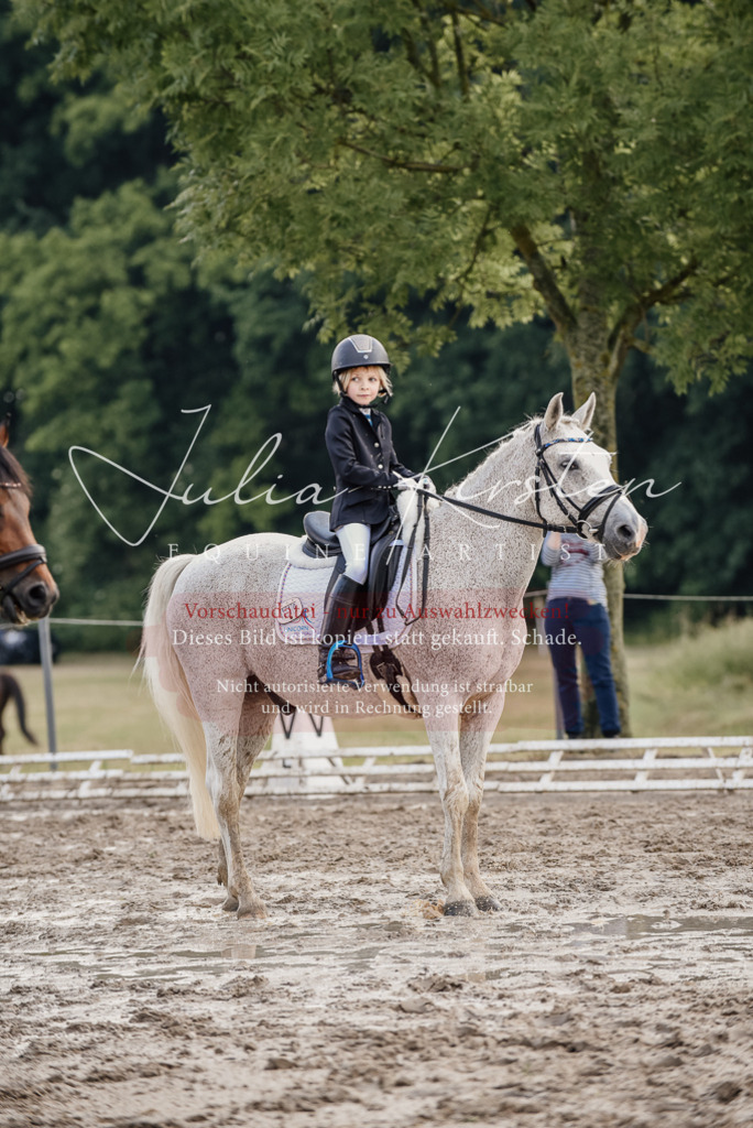 DSC_8292 | Pferde- und Turnierfotografie in Westsachsen. Pferdeportraits, Auftragszeichnungen und intuitive Kunst.