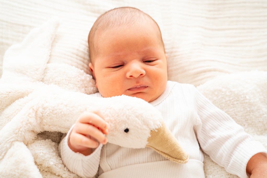 Baby Emil-34 | Glücksmoment Fotografie