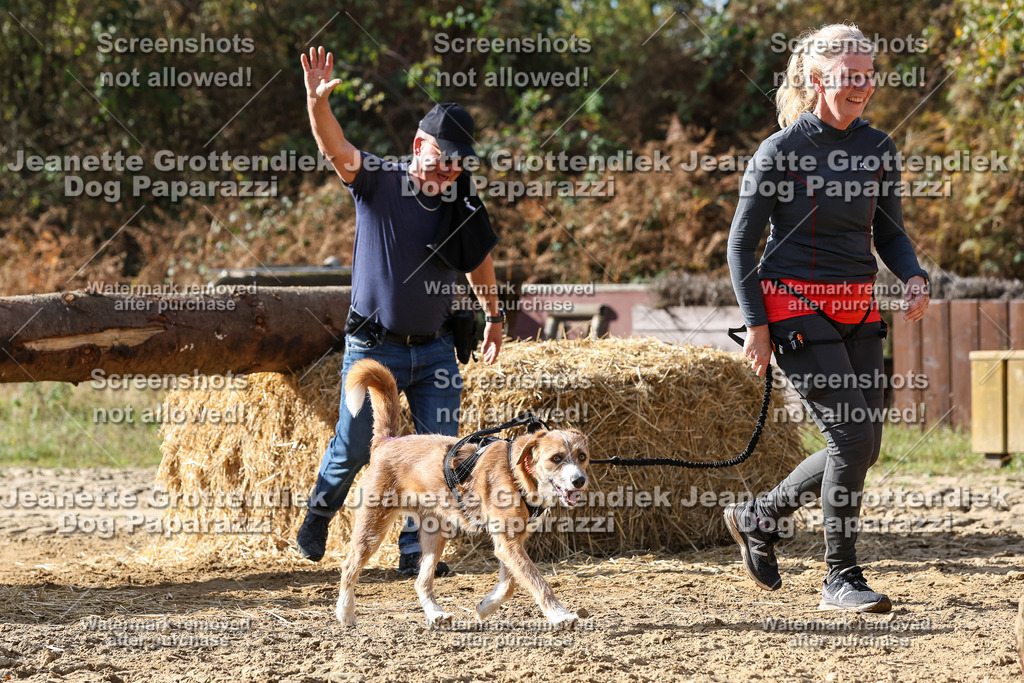 Dog Paparazzi - Strongdog 10-25-5634 | Dog Paparazzi Jeanette Grottendiek Fotografie & Videografie - Realisiert mit Pictrs.com