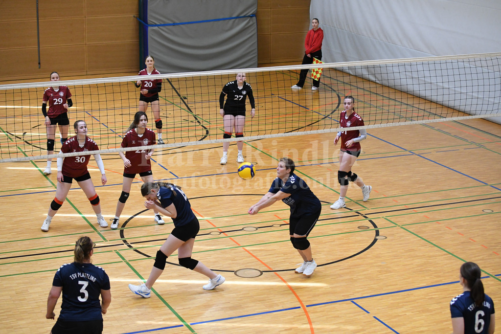 TSV Plattling Volleyball : VSG Passau/Fürstenzell | TSV Plattling IsarVolleys Damen - Realisiert mit Pictrs.com