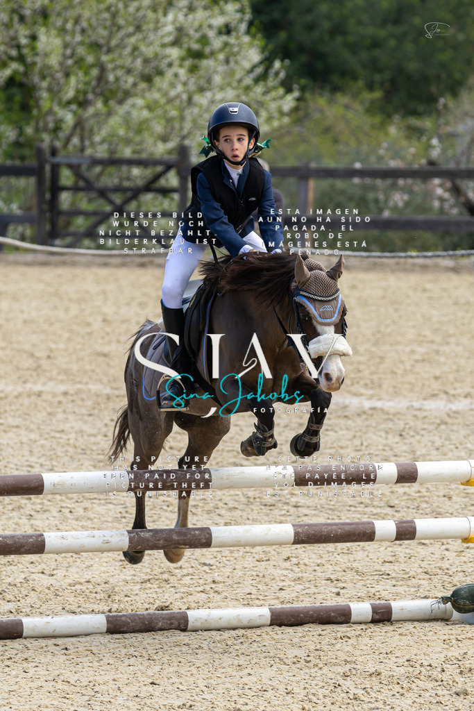 IMG_5005 | s-jay-photography - Realisiert mit Pictrs.com