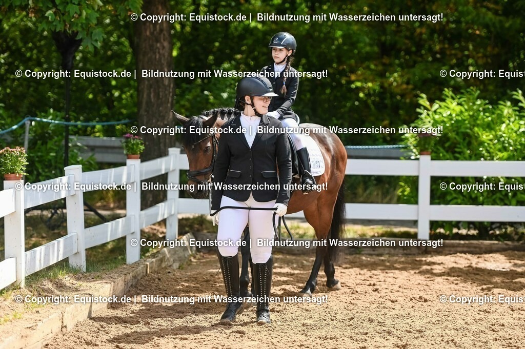 20230716_11_Führzügel-WB_0001 | equistock