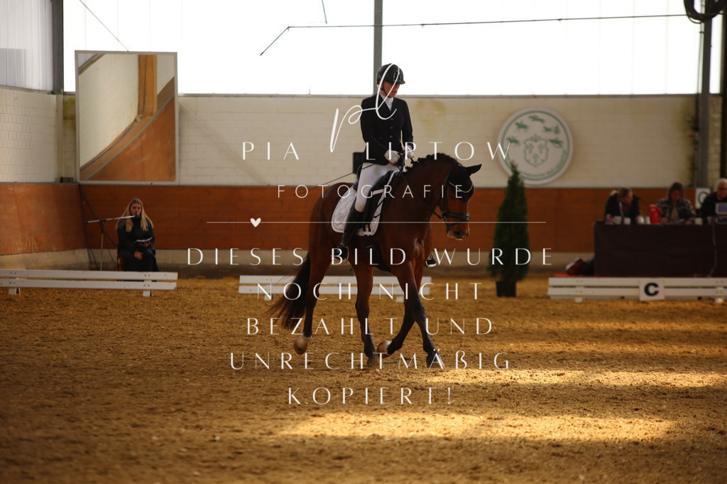 IMGT4386 | pl-fotografie