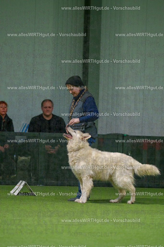 7R504197 | Professionelle Tierfotografie in Mönchengladbach von Daniel Wirth (allesWIRTHgut). Liebevolle & natürliche Bilder von Hunden & Katzen für unvergessliche Erinnerungen.