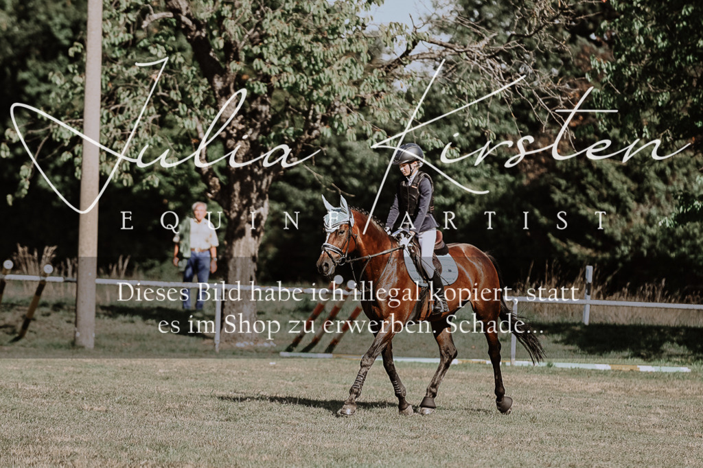 DSC_9387 | Pferde- und Turnierfotografie in Westsachsen. Pferdeportraits, Auftragszeichnungen und intuitive Kunst.
