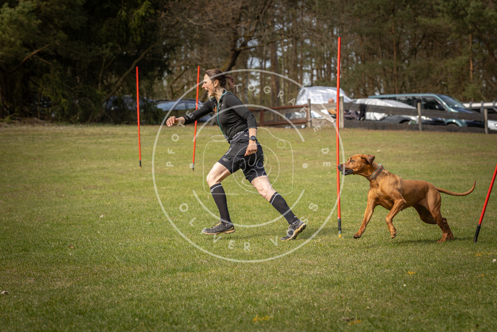 Pfotenfotografie_DV3A7145 | Hundefotografie, Tierfotograf, Pfotenfotografie, Fotoshooting Hund, Hunde Portrait, Hundesport, Hundeportraits, Heideshooting, Hunde, Sportfotograf, Hundefotograf, Turnierhundsport, THS,  - Realisiert mit Pictrs.com