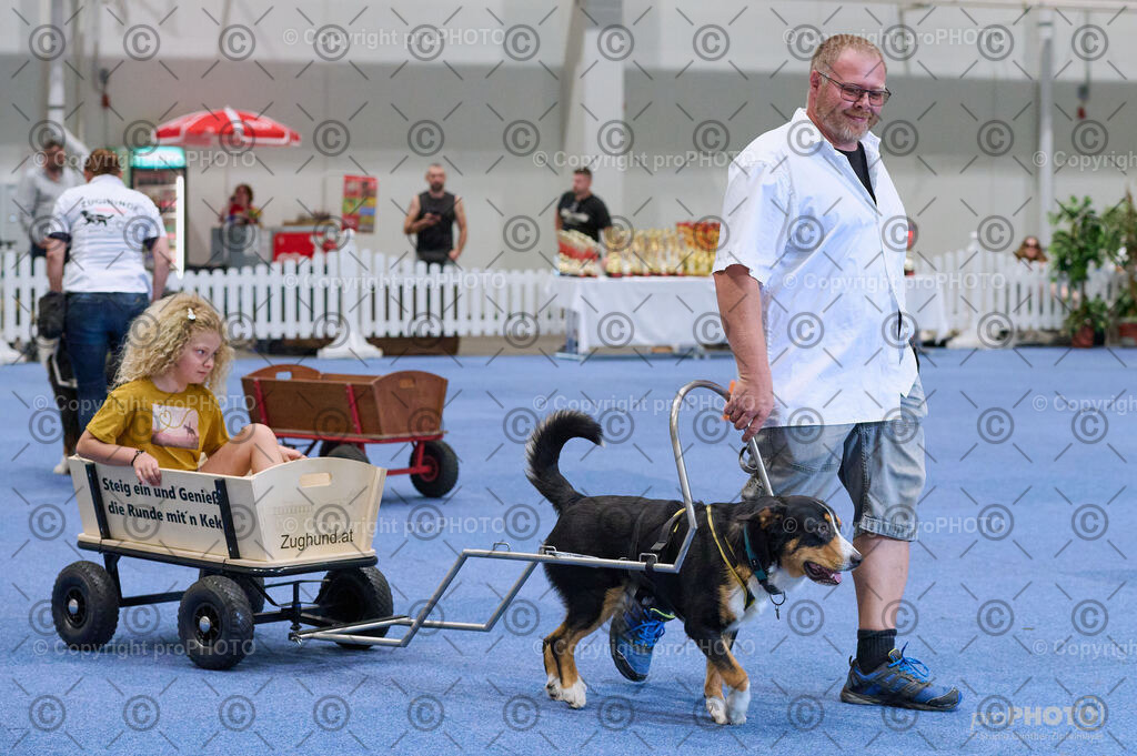 202406_ÖKV-IHA-Tulln24_DSC_4680 | proPHOTO - Realisiert mit Pictrs.com