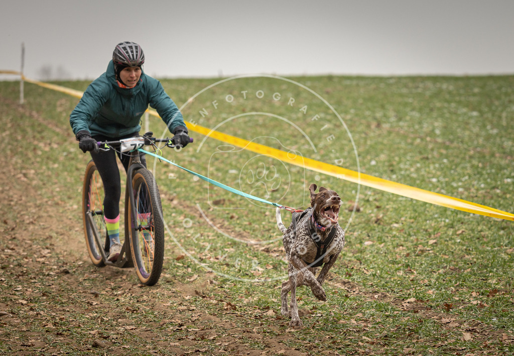 Pfotenfotografie_DV3A3575 | Hundefotografie, Tierfotograf, Pfotenfotografie, Fotoshooting Hund, Hunde Portrait, Hundesport, Hundeportraits, Heideshooting, Hunde, Sportfotograf, Hundefotograf, Turnierhundsport, THS,  - Realisiert mit Pictrs.com