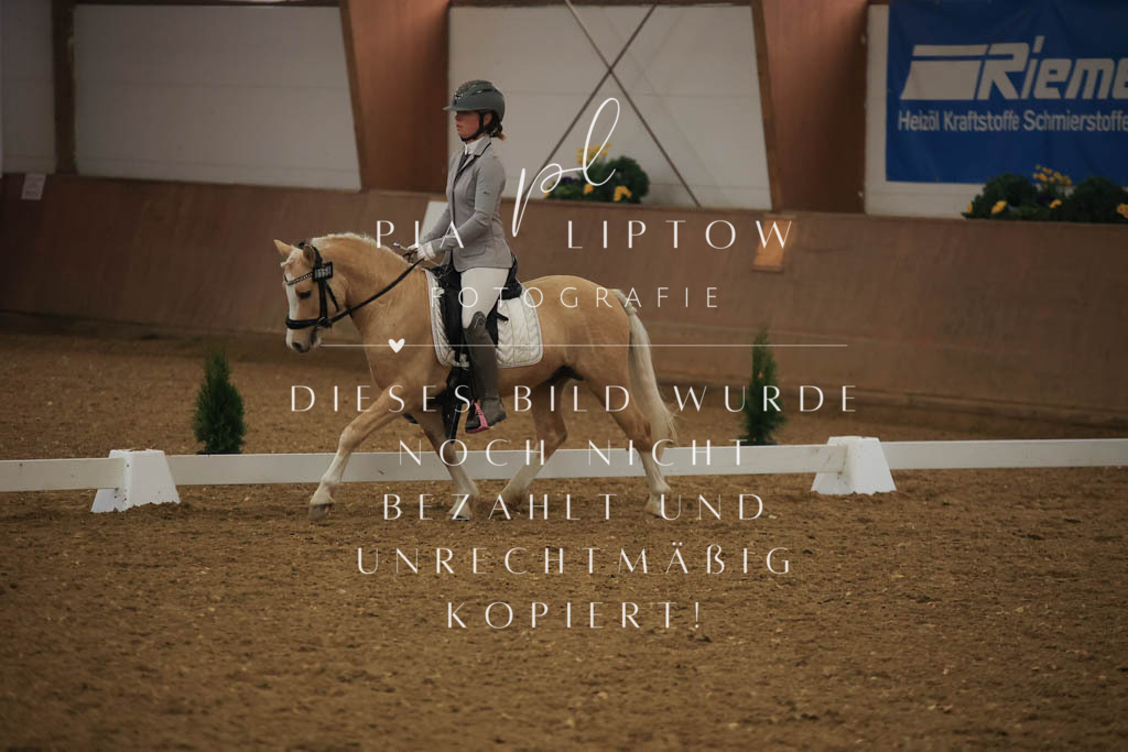 IMGT1128 | pl-fotografie