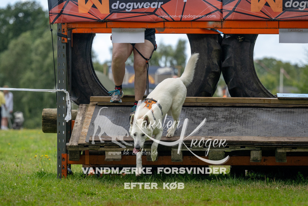 1036_ZZ91439 | kk-dogfotos