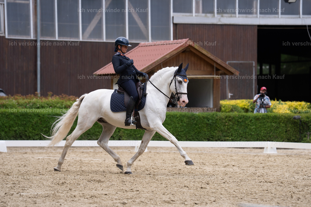 WS_DR_52_SinaFilmArt_IN01458 | working equitationturnier fotograf videograf stoibphotography marixx film working equitation deutschland reitsport turnierfotografie eventfotografie equestrian events