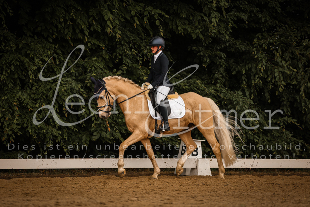 DoDrA00531 | Leoni Ertmer Photography - Realisiert mit Pictrs.com