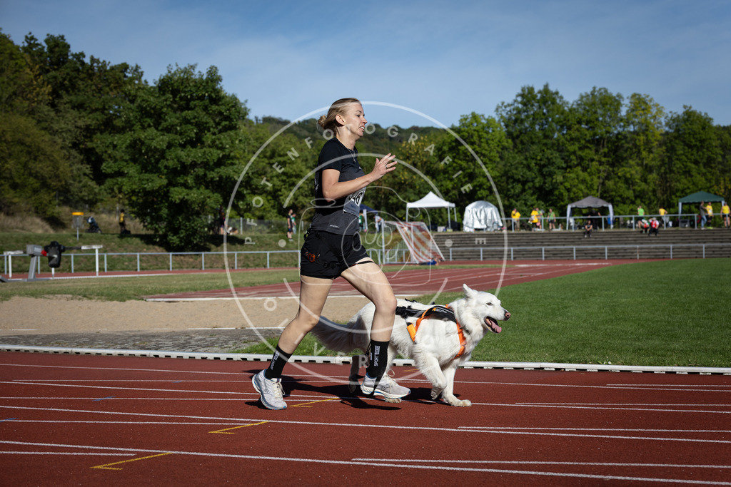 Pfotenfotografie_DV3A8876 | Hundefotografie, Tierfotograf, Pfotenfotografie, Fotoshooting Hund, Hunde Portrait, Hundesport, Hundeportraits, Heideshooting, Hunde, Sportfotograf, Hundefotograf, Turnierhundsport, THS,  - Realisiert mit Pictrs.com