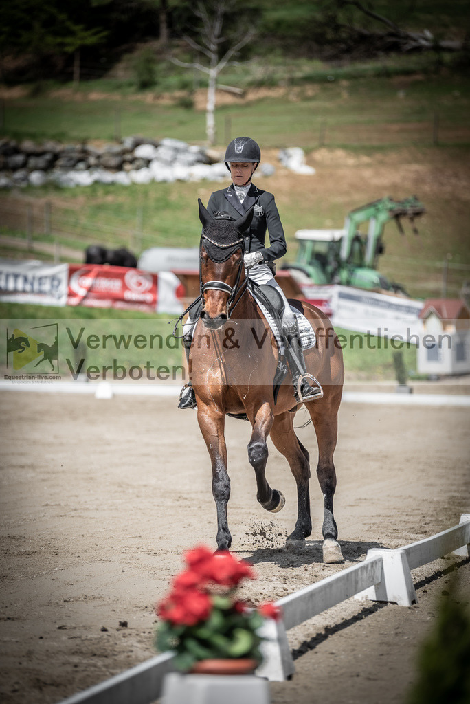 DSC_1850 | equestrian-live-com