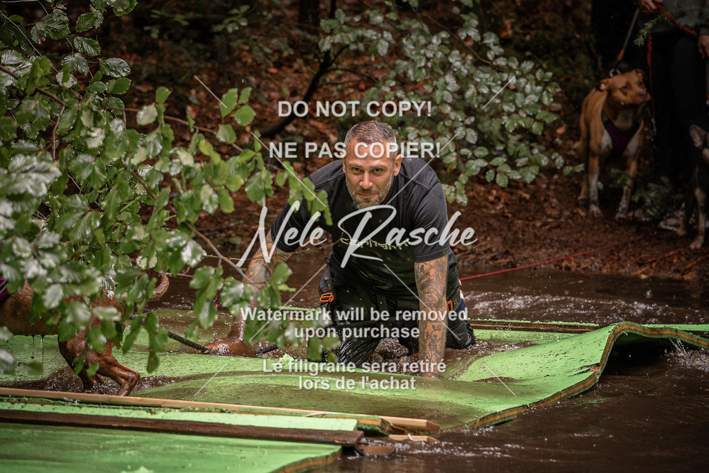nelerasche_Wingst_Sa1330-1400_01 | nelerasche