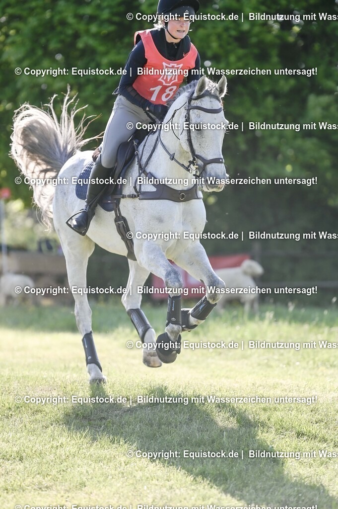 20250517_CCI2_Gelände_0500 | Foto: Thomas Hartig