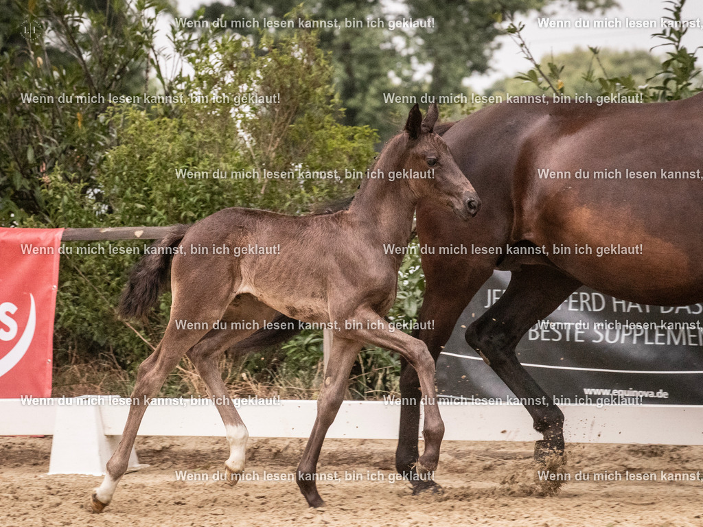 A10I5296 | photographylinaismer - Realisiert mit Pictrs.com