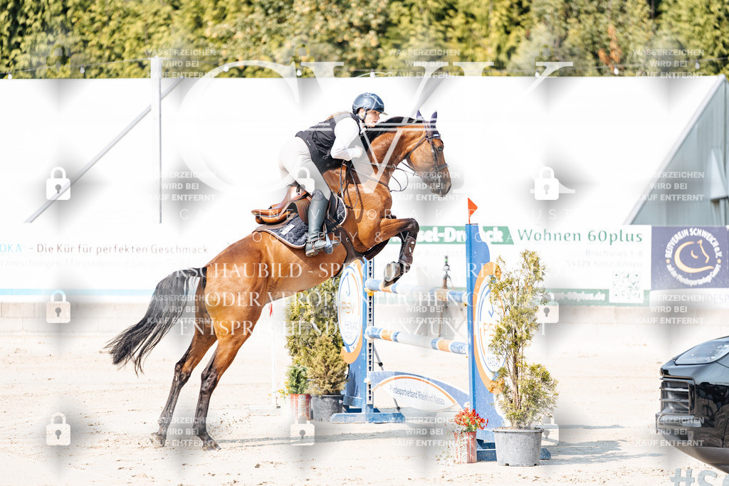 CK902053 | Turnierfotografie Pferdefotografie Trier Rheinland-Pfalz Pferdesport Reitsport Tierfotografie Sportfotografie Pferdevideo Pferdevideografie Equestrianvideography equestrianphotography  - Realisiert mit Pictrs.com