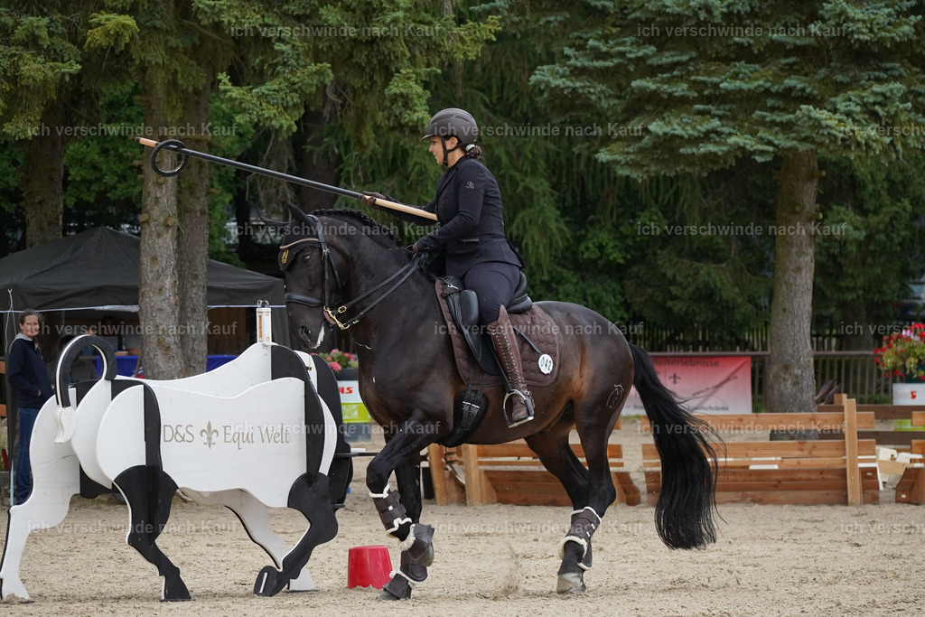 KlasseL_Lucie (5) | working equitationturnier fotograf videograf stoibphotography marixx film working equitation deutschland reitsport turnierfotografie eventfotografie equestrian events